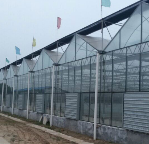 承接濟南/ 承接濟南/商河縣/濟陽縣溫室大棚育苗室生態(tài)餐廳