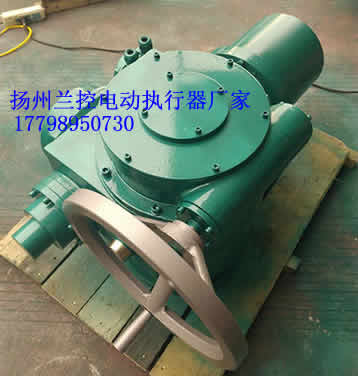 電動執(zhí)行器 電動執(zhí)行器LKMZZ250