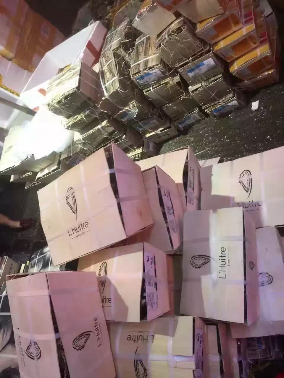 法國(guó) 愛爾蘭 澳洲 美國(guó) 加拿大