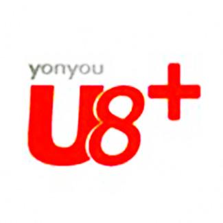 用友財(cái)務(wù)軟件T3 T6 U8