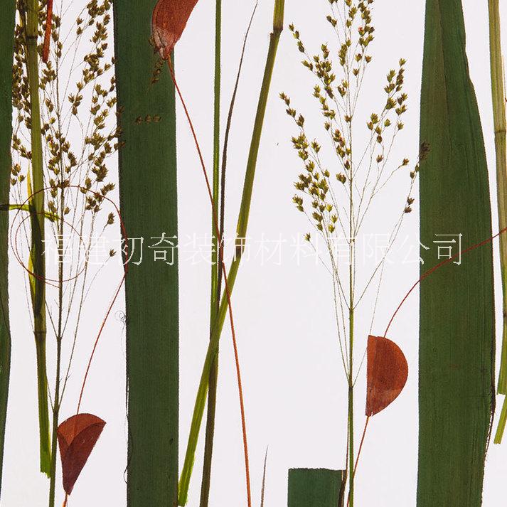 樹脂透光板，樹脂裝飾板材，福建樹脂板廠家