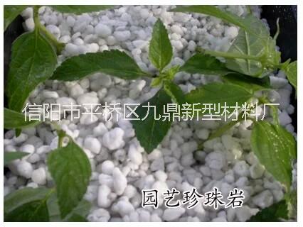 信陽珍珠巖廠家供應(yīng)園藝珍珠巖養(yǎng)花園藝用大顆粒珍珠巖