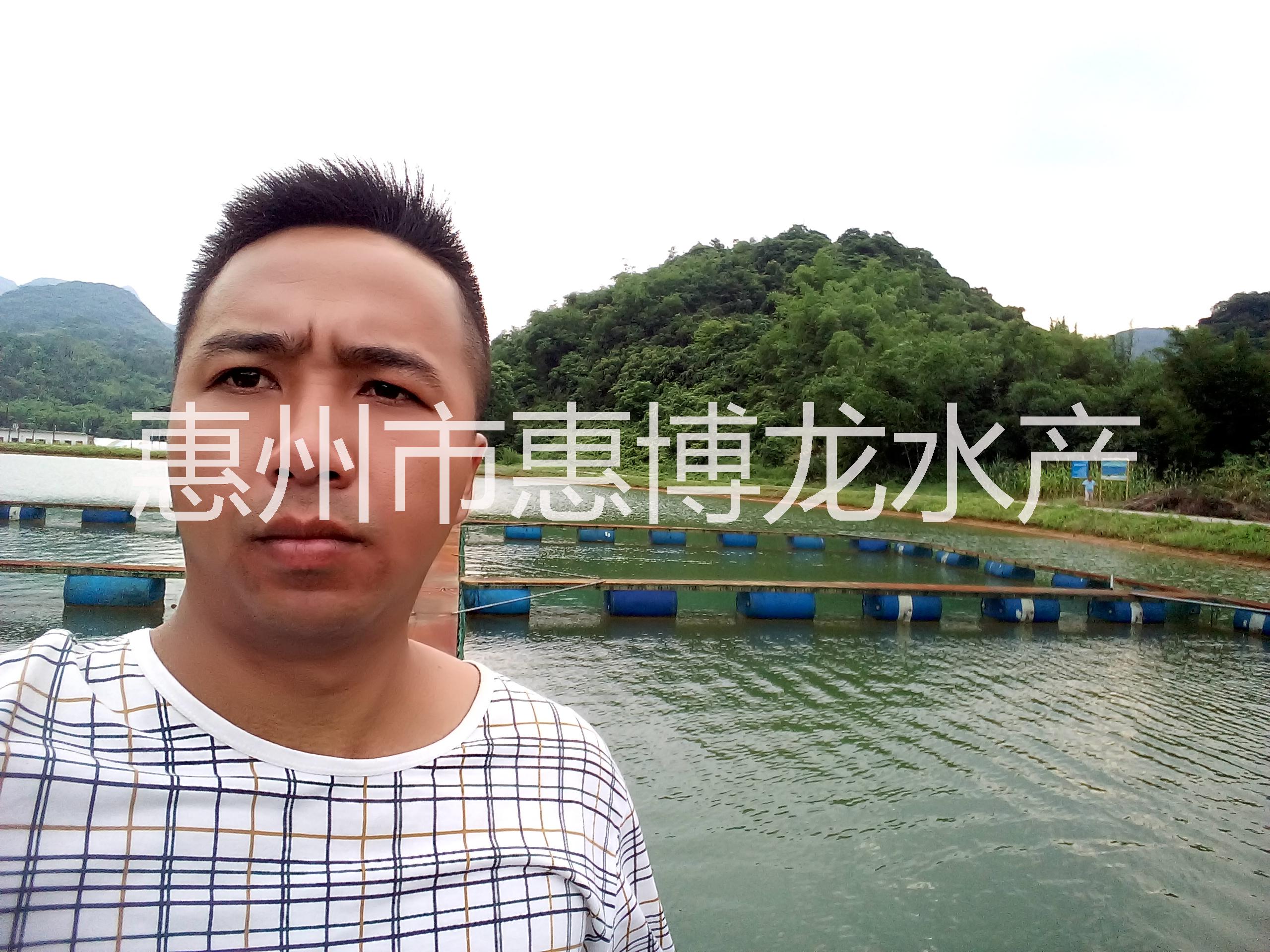 供應(yīng)優(yōu)質(zhì)水產(chǎn)鴨嘴魚(yú)苗 鴨嘴鱘魚(yú)