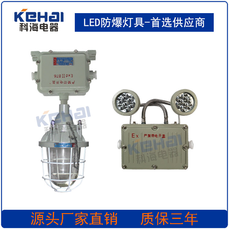 供應(yīng)防爆應(yīng)急燈 消防應(yīng)急燈 BAJ52防爆應(yīng)急燈