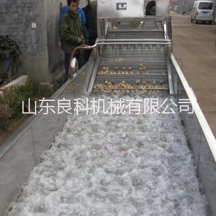 芹菜清洗機(jī)