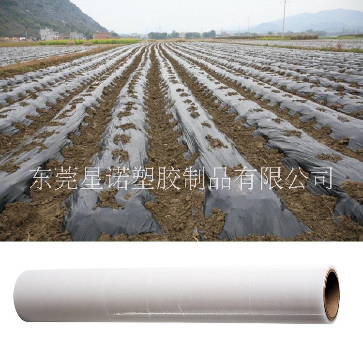 防草保濕黑色白色地膜塑料薄膜