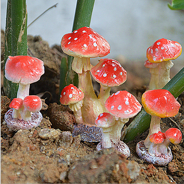 廣東小蘑菇 園藝盆栽擺件苔蘚微景觀裝飾品DIY小禮物熱銷工藝品