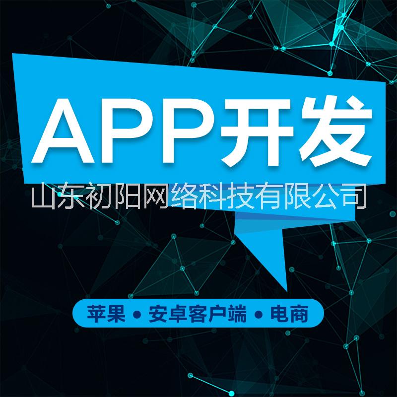 APP軟件定制開發(fā)