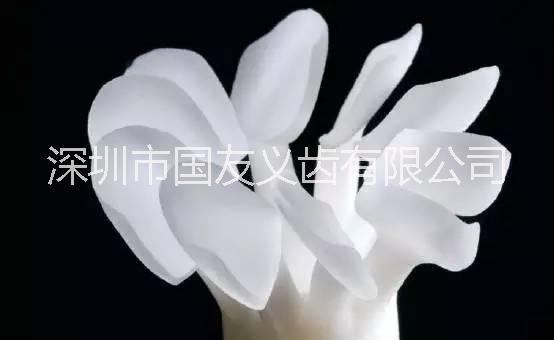 提供進(jìn)口二氧化鋯全瓷牙 深圳廠家專業(yè)加工 常見全瓷牙種類優(yōu)惠直銷
