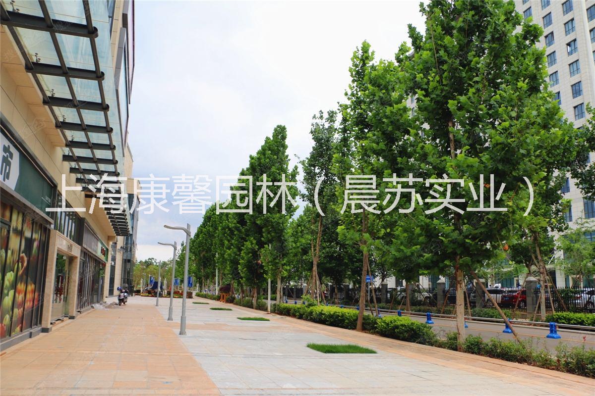 涪陵區(qū)城市綠化養(yǎng)護(hù)工程施工電話 涪陵區(qū)城市綠化養(yǎng)護(hù)工程報(bào)價(jià)