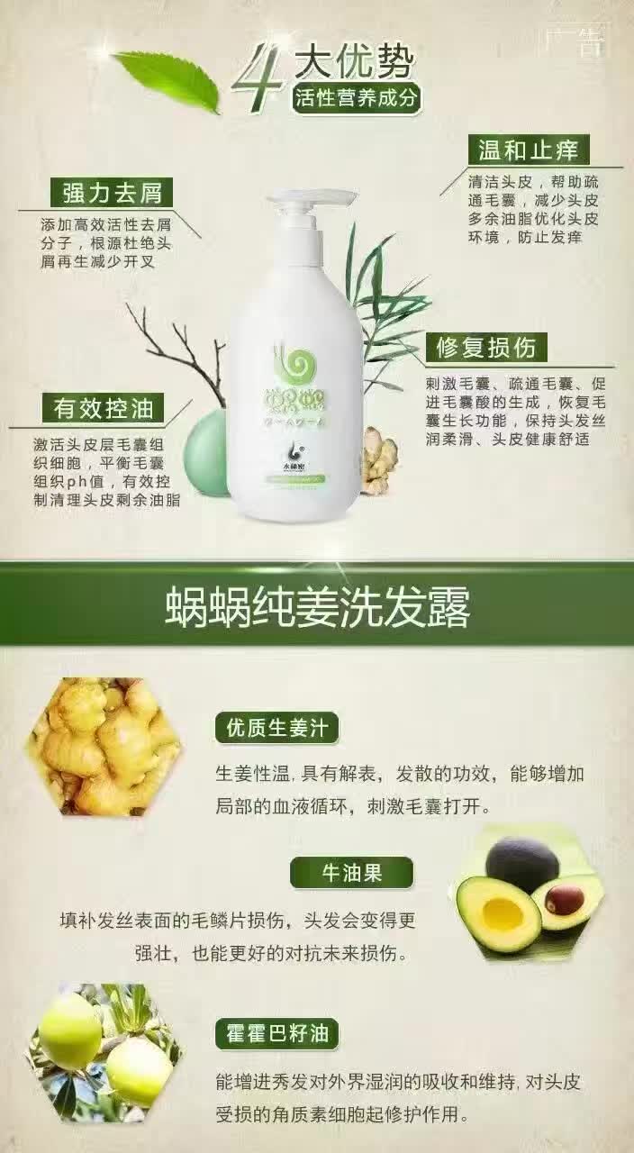 供應(yīng)蝸蝸洗發(fā)露   *發(fā)水 0硅油0刺激