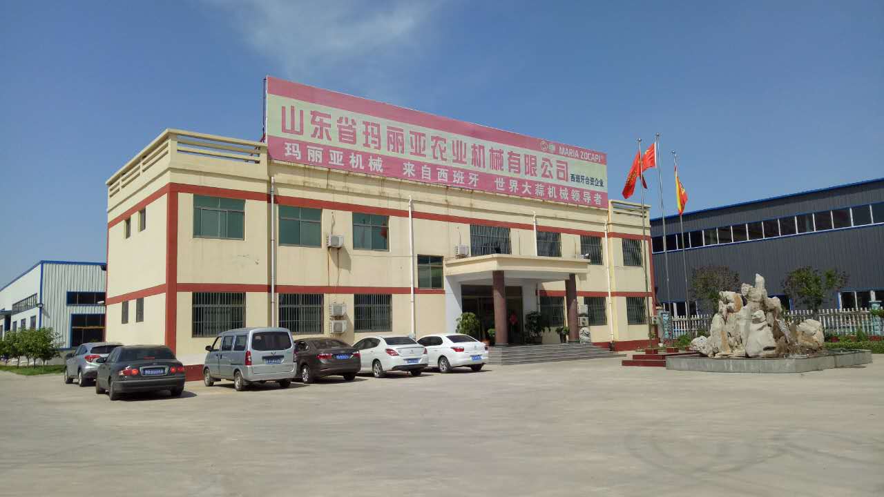 蒜米機(jī)成套設(shè)備新型大蒜脫皮