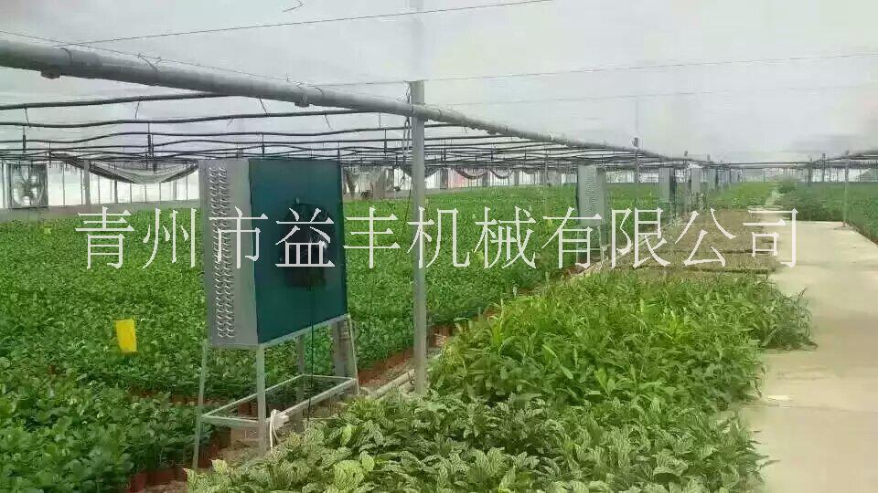 溫室暖風(fēng)機 銅管水暖風(fēng)機 大棚暖風(fēng)機 花卉加溫機