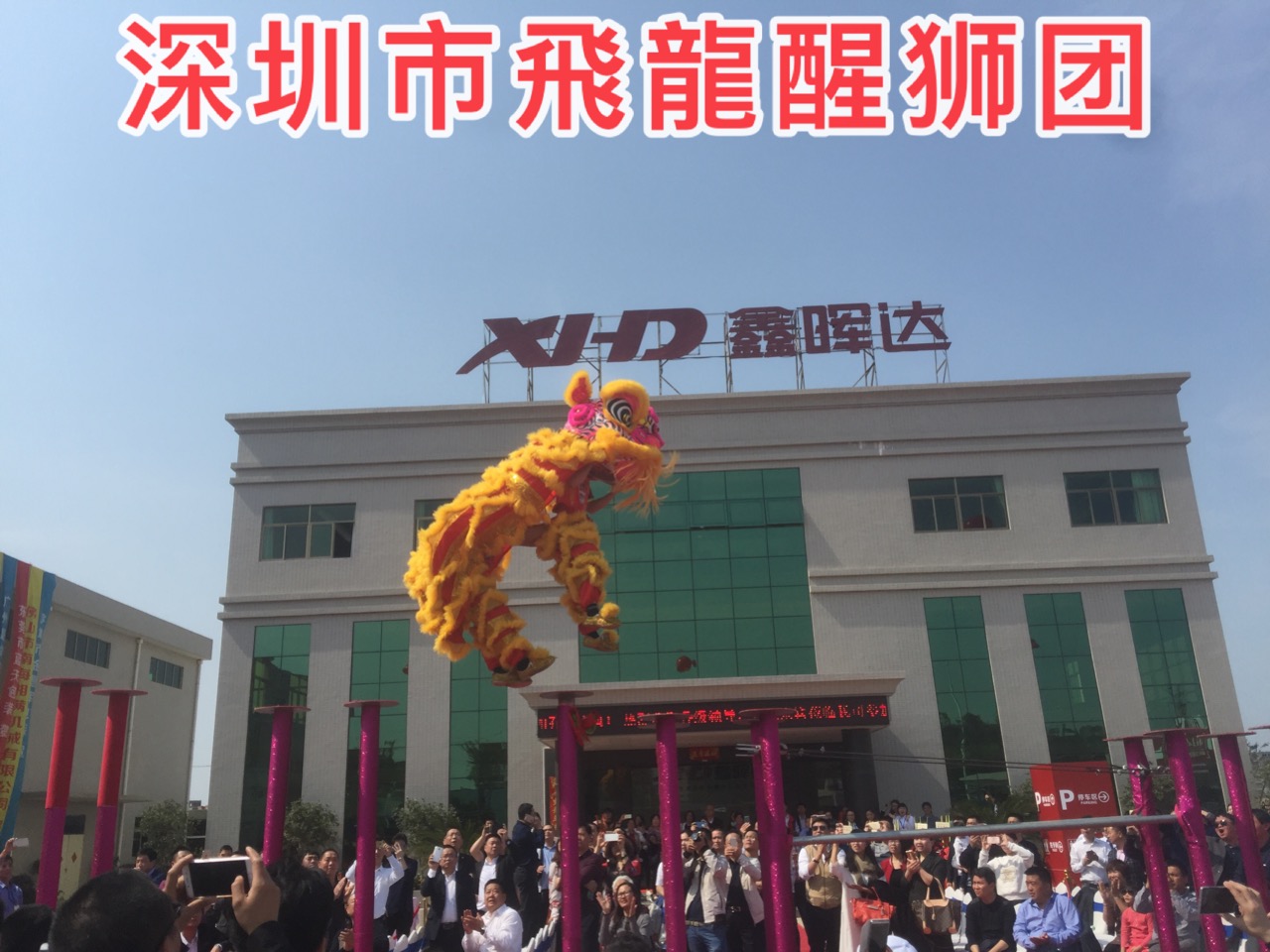 福建龍巖舞獅隊(duì)  龍巖舞獅隊(duì)價(jià)格是多少 龍巖梅花樁舞獅團(tuán)隊(duì) 龍巖廟會(huì)舞獅巡游演出