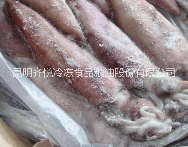 供應(yīng)冷凍銀魚 冷凍銀魚供應(yīng)廠家 銀魚干批發(fā)商家 鯉魚供應(yīng)價(jià)