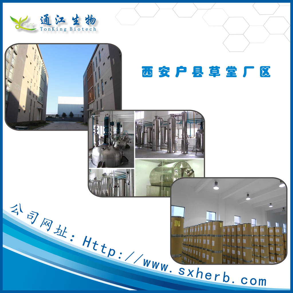 *廠家供應(yīng)干姜提取物 規(guī)格10