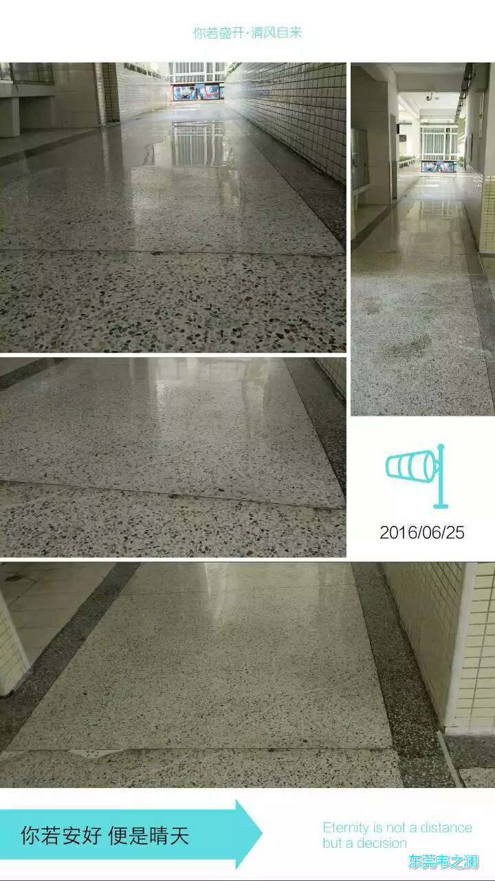 東莞固化劑施工