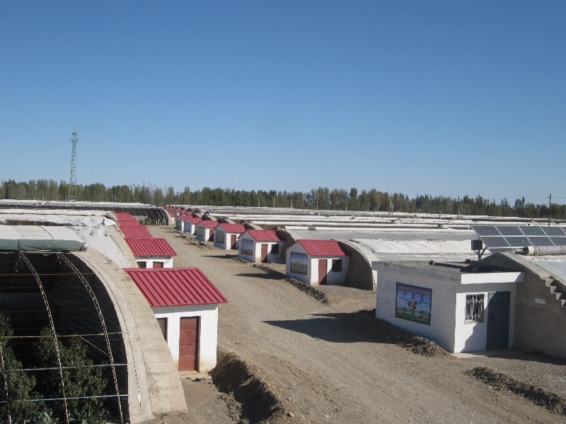 玻璃溫室 玻璃溫室生產(chǎn)廠家