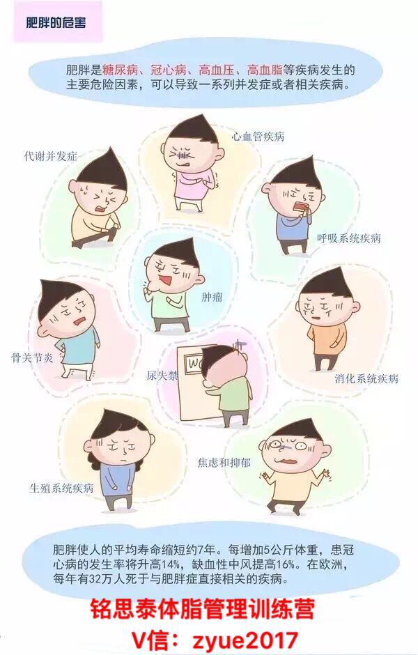 銘思泰體脂管理訓(xùn)練營/為什要*