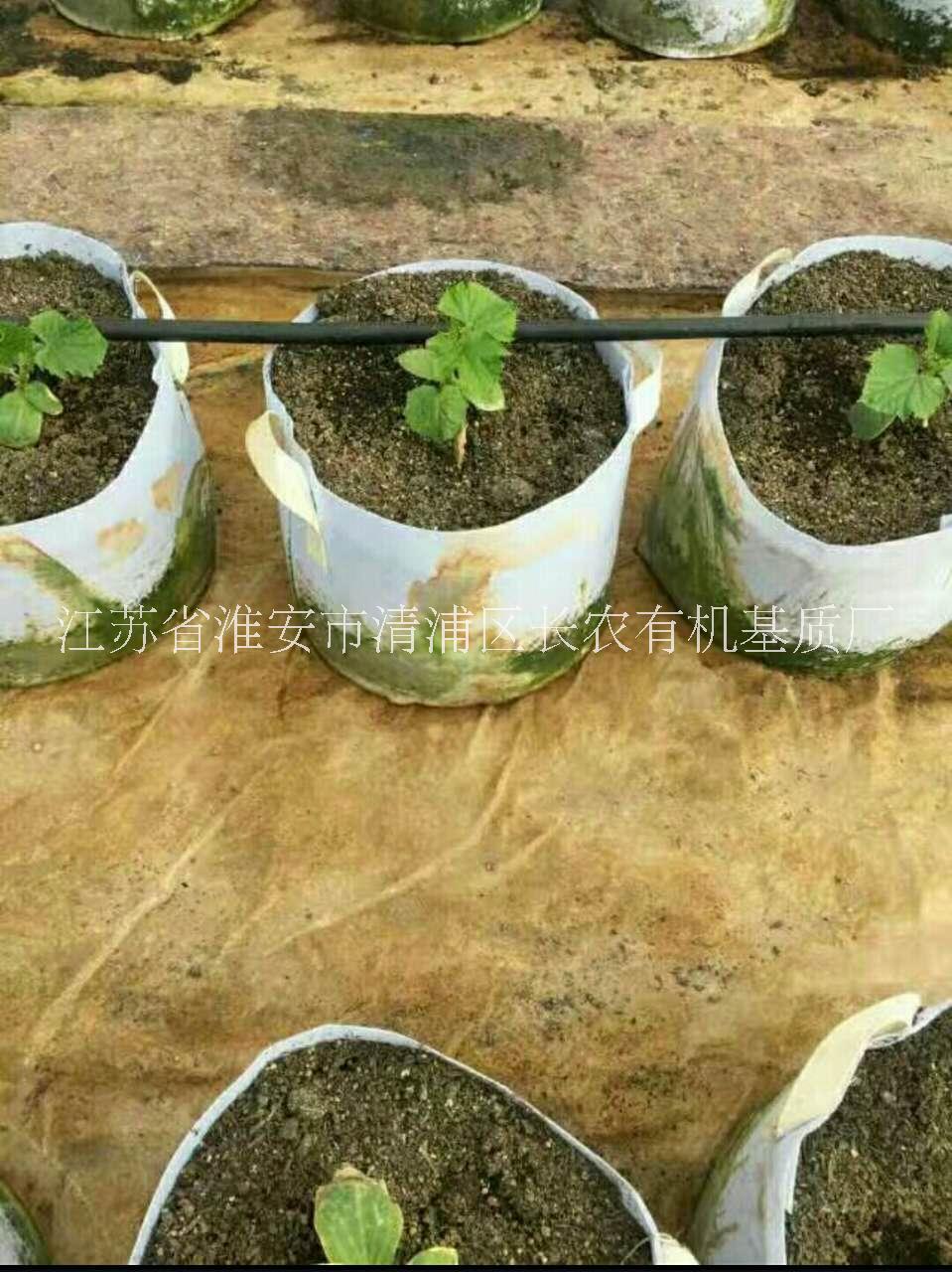 瓜果有機(jī)基質(zhì)*肥料瓜果有機(jī)基*肥料供應(yīng)商