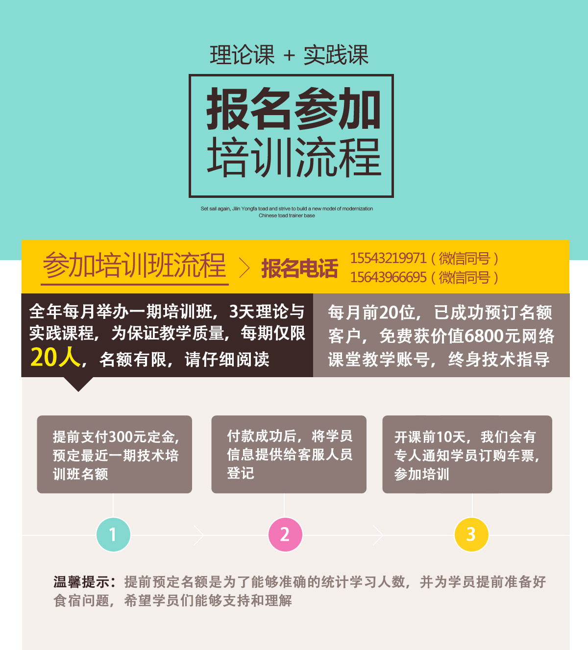 蟾蜍養(yǎng)殖加盟利潤