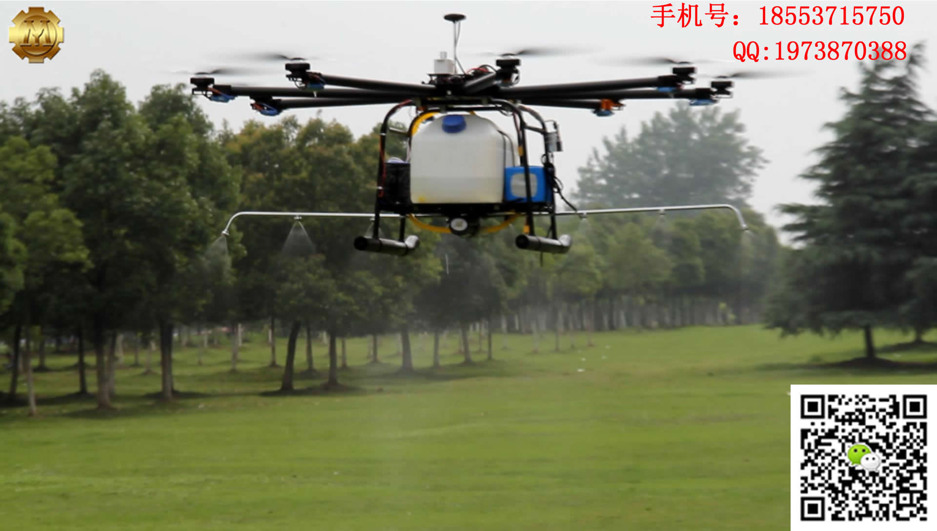 植保無人機效率遠超人工施藥