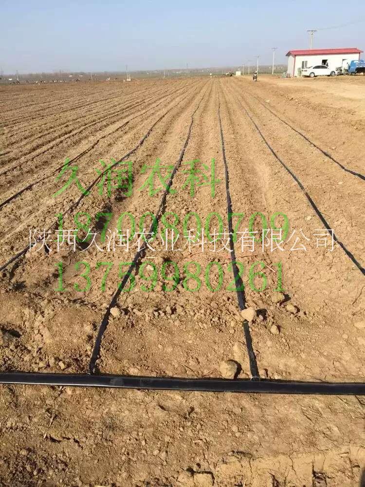 貼片式滴灌帶及相關(guān)配件大量供應(yīng)