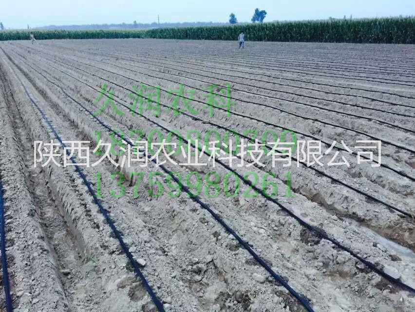 貼片式滴灌帶及相關(guān)配件大量供應(yīng)