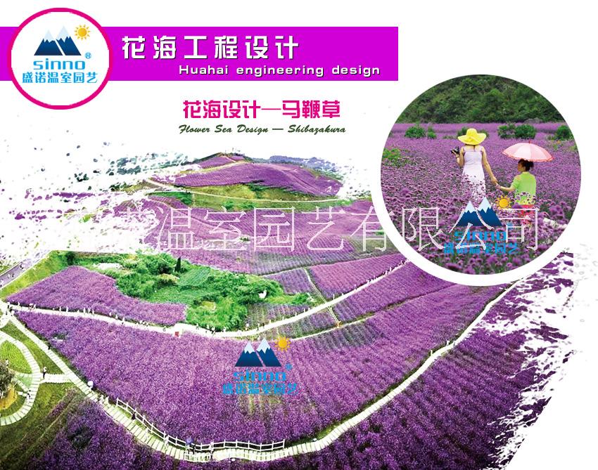 山東專業(yè)常年提供花海設(shè)計(jì)  園藝造型 園林綠化工程施工 花卉種子銷售 花海設(shè)計(jì)  園藝造型 園林工程