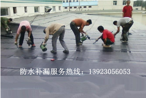 臺山市水步鎮(zhèn)防水補漏公司