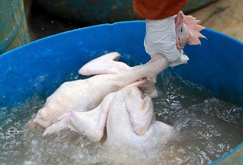 上海西餐調(diào)料水果配送公司