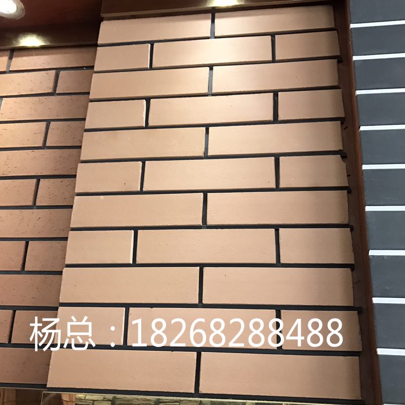 湖南長沙 燒結(jié)磚 廣場磚 毛面磚