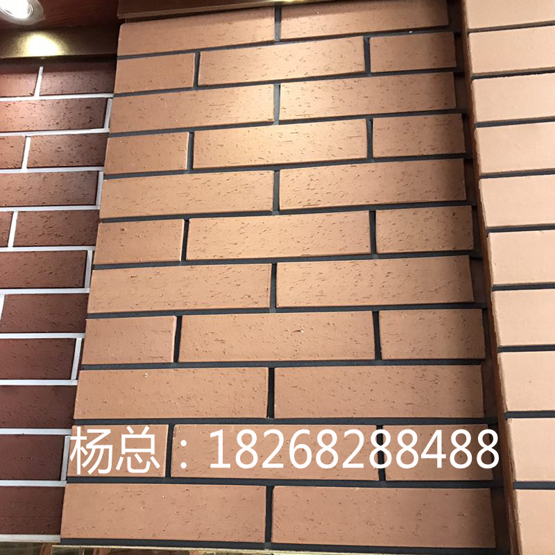 湖南長沙 燒結(jié)磚 廣場磚 毛面磚