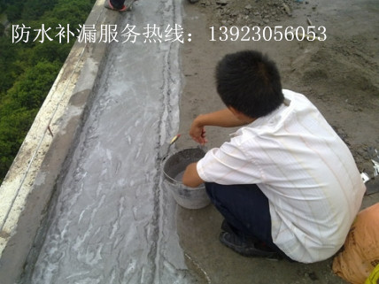 臺(tái)山市大江鎮(zhèn)防水補(bǔ)漏工程有限公司