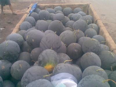 供應(yīng) 陜西黑無(wú)子西瓜價(jià)格行情甜王西瓜價(jià)格分析