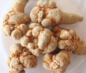 云南18頭三七價格  云南18頭三七功效 云南18頭三七批發(fā)