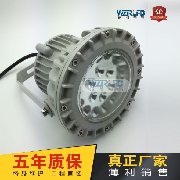 RLB153LED防爆平臺燈泛光燈