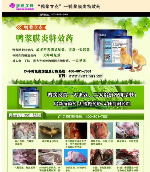 鴨漿立克 久旺鴨漿立克