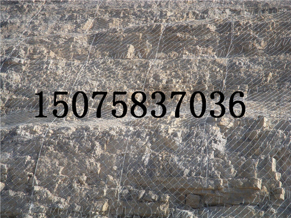 勾花網(wǎng)1菱形網(wǎng)1活絡(luò)網(wǎng)/鋼絲格柵