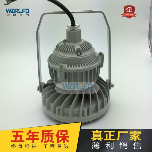 RLB153LED防爆平臺燈泛光燈