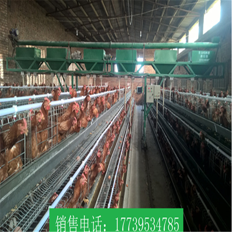 供應(yīng)自動(dòng)喂料設(shè)備 龍門(mén)式上料機(jī)