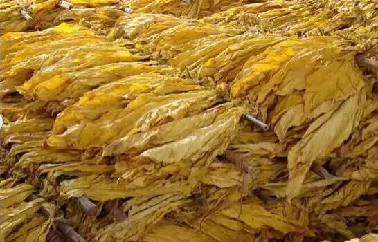 淘汰燃煤，河南*烘干大量采用高溫空氣能熱泵烤房- 歐卡能*烘干機