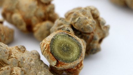 云南文山三七花報(bào)價(jià) 云南文山三七花 云南文山三七花批發(fā) 云南文山三七花價(jià)格