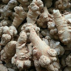 18頭三七價格  文山三七功效 18頭三七廠家 18頭三七報價