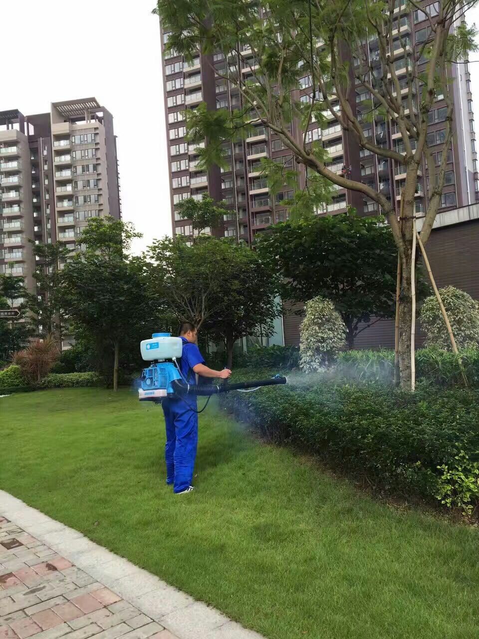 東莞殺蟲(chóng) 東莞滅蟑螂 東莞殺臭蟲(chóng)