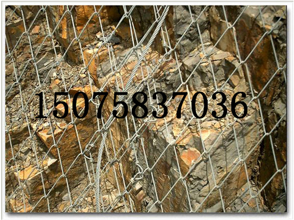 鈦克網(wǎng)-鈦克網(wǎng)廠-鈦克網(wǎng)廠家