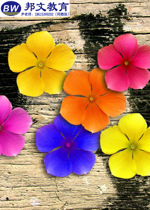 臨沂平面設(shè)計(jì)產(chǎn)品制作培訓(xùn)學(xué)校哪里有靠譜的