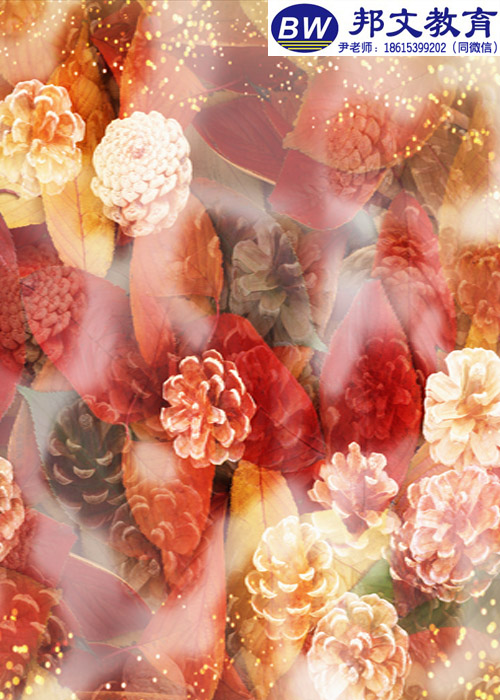 臨沂平面設(shè)計(jì)產(chǎn)品制作培訓(xùn)學(xué)校哪里有靠譜的