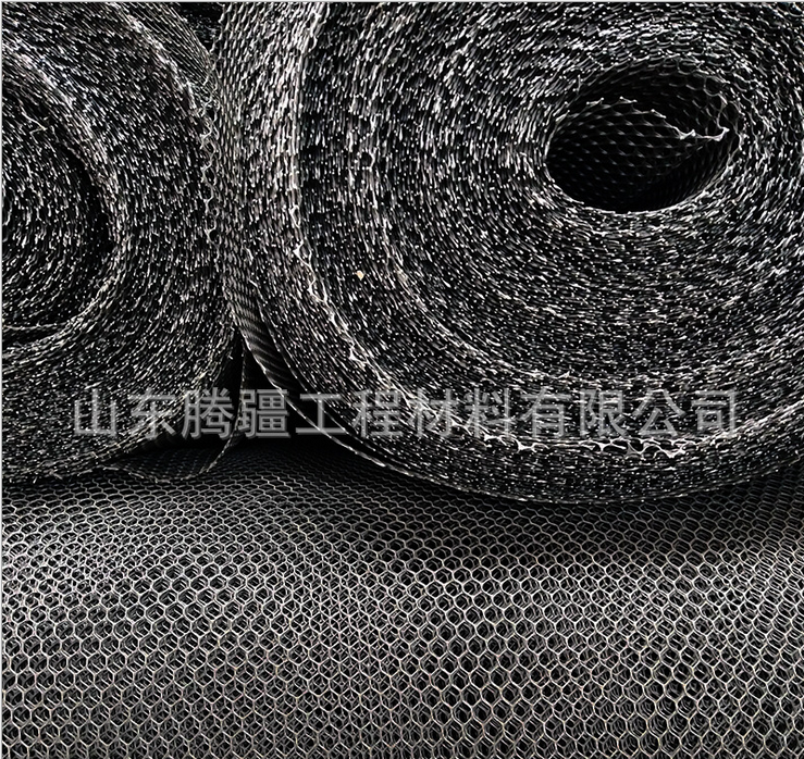 防老化黑色土工網(wǎng)生產(chǎn)廠家邊坡防護(hù)土工網(wǎng)規(guī)格齊全單層三維土工網(wǎng)