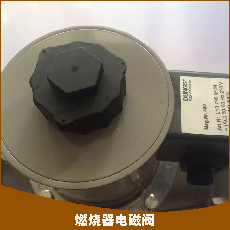 燃燒器電磁閥先導(dǎo)式活塞式電磁閥執(zhí)行器燃燒器價格實惠燃燒器電磁閥廠家供應(yīng)